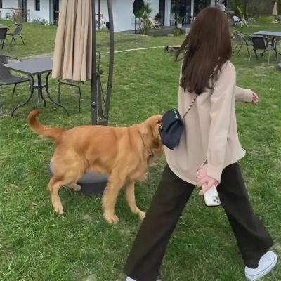 狱中豪杰
